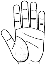 Рис.4