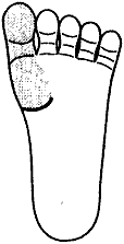 Рис.4