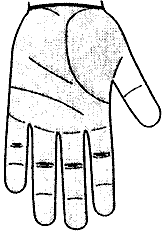 Рис.5