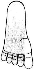 Рис.5