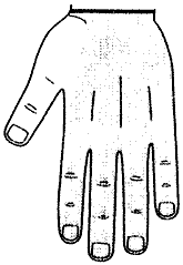 Рис.5