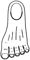 Рис.5
