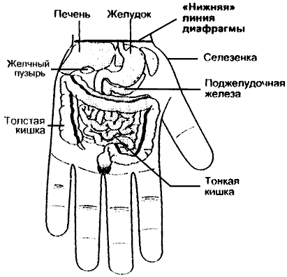 Рис.6