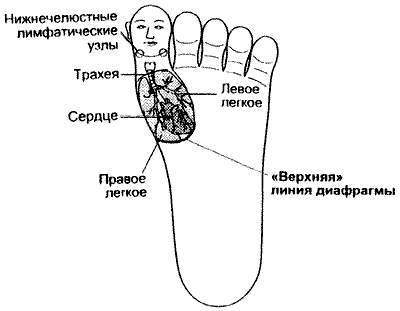 Рис.7