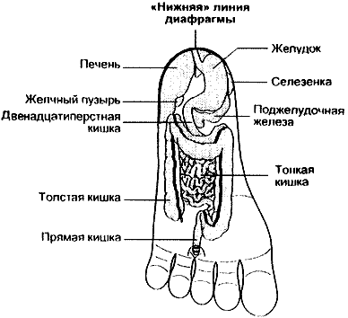 Рис.7